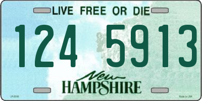 NH license plate 1245913