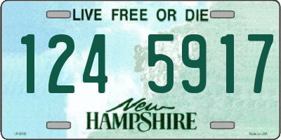 NH license plate 1245917