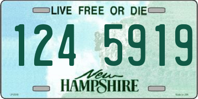 NH license plate 1245919
