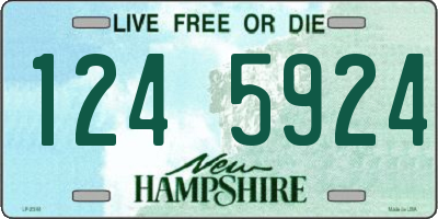 NH license plate 1245924