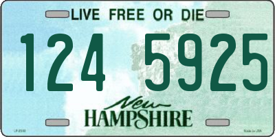 NH license plate 1245925