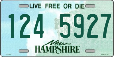 NH license plate 1245927