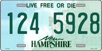 NH license plate 1245928