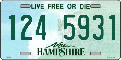 NH license plate 1245931