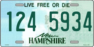 NH license plate 1245934