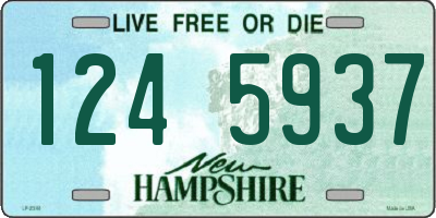 NH license plate 1245937