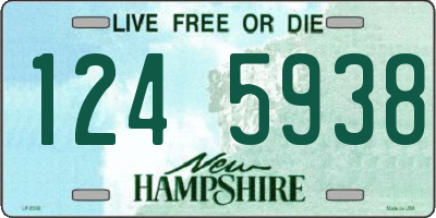 NH license plate 1245938