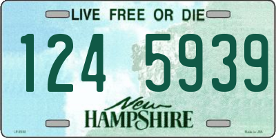 NH license plate 1245939