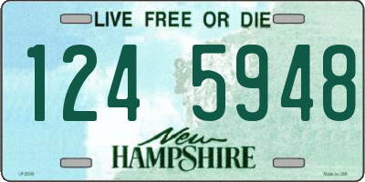NH license plate 1245948