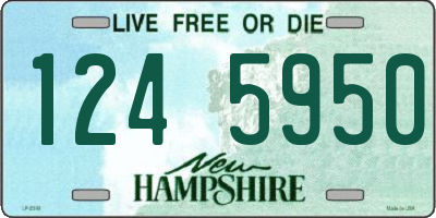 NH license plate 1245950