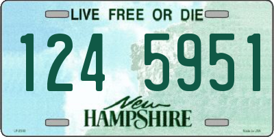 NH license plate 1245951