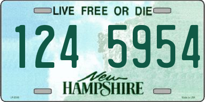 NH license plate 1245954