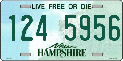NH license plate 1245956