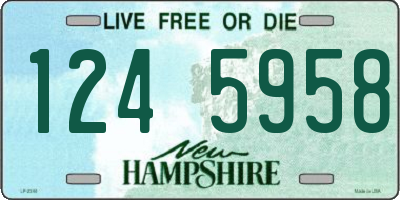 NH license plate 1245958