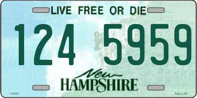 NH license plate 1245959