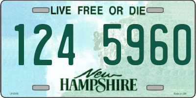 NH license plate 1245960