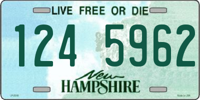 NH license plate 1245962