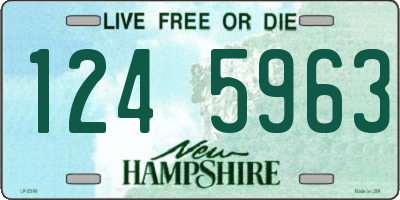 NH license plate 1245963