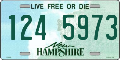 NH license plate 1245973