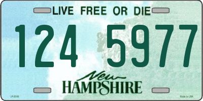 NH license plate 1245977