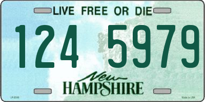 NH license plate 1245979