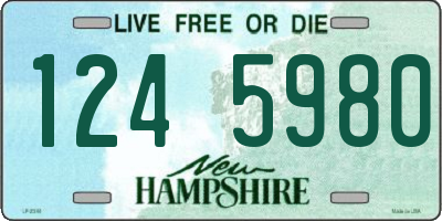 NH license plate 1245980