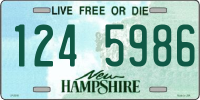 NH license plate 1245986