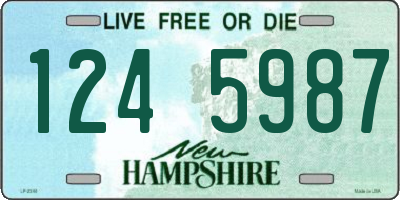 NH license plate 1245987