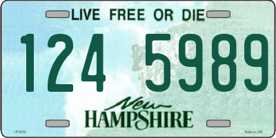 NH license plate 1245989