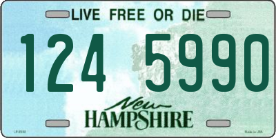 NH license plate 1245990