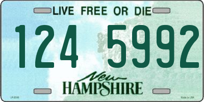 NH license plate 1245992