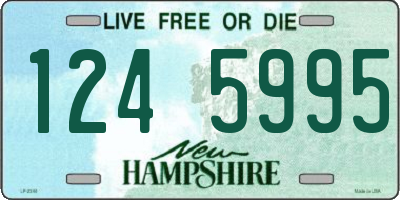 NH license plate 1245995