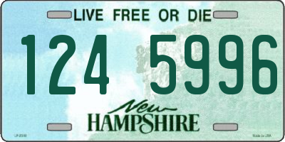 NH license plate 1245996