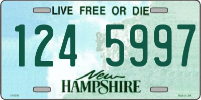NH license plate 1245997