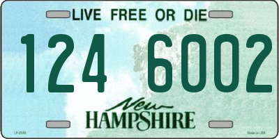 NH license plate 1246002