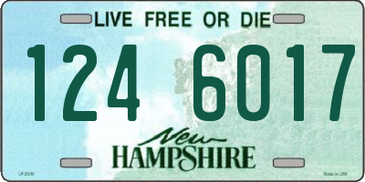 NH license plate 1246017