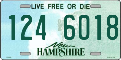 NH license plate 1246018