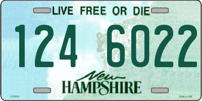 NH license plate 1246022