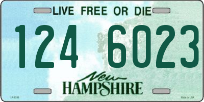 NH license plate 1246023