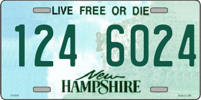 NH license plate 1246024