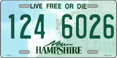 NH license plate 1246026