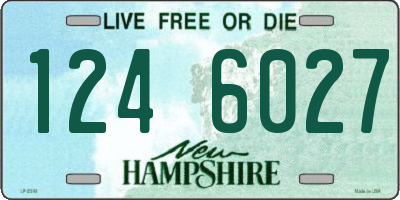 NH license plate 1246027