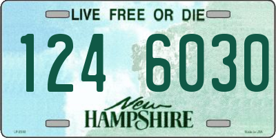 NH license plate 1246030