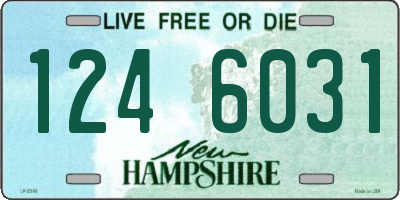 NH license plate 1246031