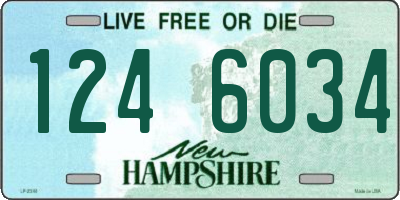 NH license plate 1246034