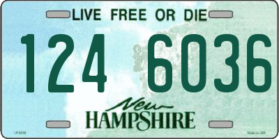 NH license plate 1246036