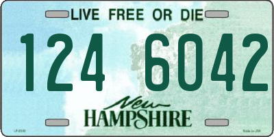 NH license plate 1246042