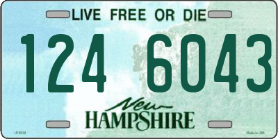NH license plate 1246043