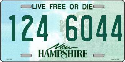 NH license plate 1246044