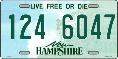 NH license plate 1246047